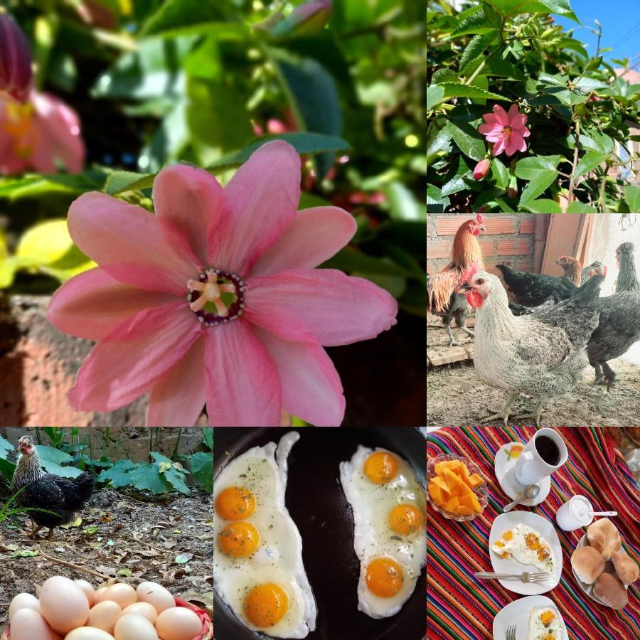 Eco Hotel Banderas อัวรัซ ภายนอก รูปภาพ
